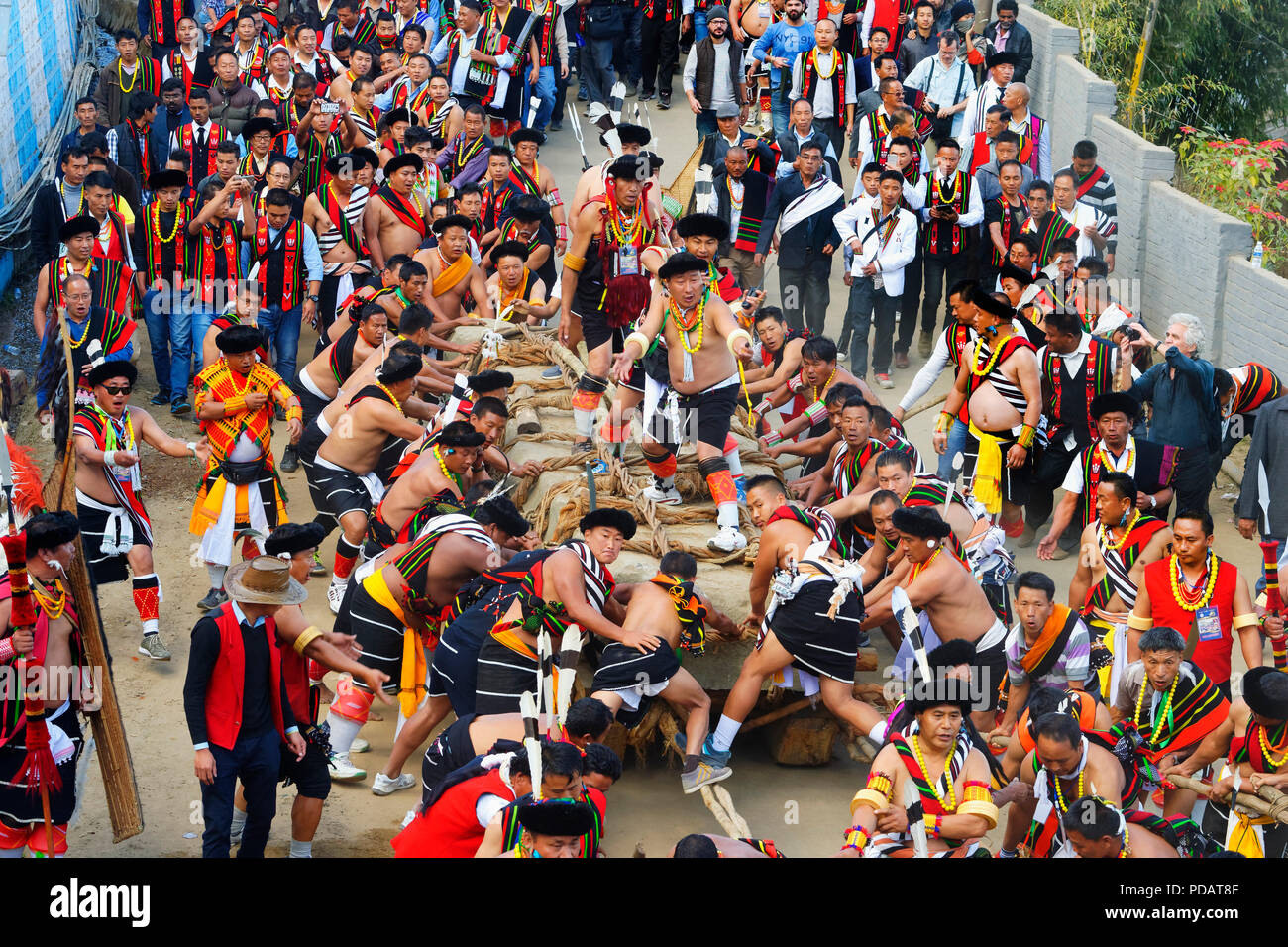 Stein ziehen Zeremonie, während Kisima Nagaland Hornbill Festival, Kohima, Nagaland, Indien Stockfoto