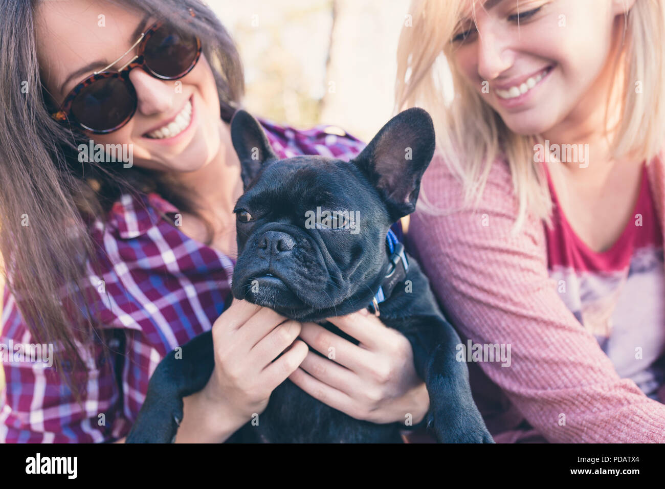 Zwei junge Frauen mit Französisch Bulldog Welpen in sonniger Tag. Stockfoto