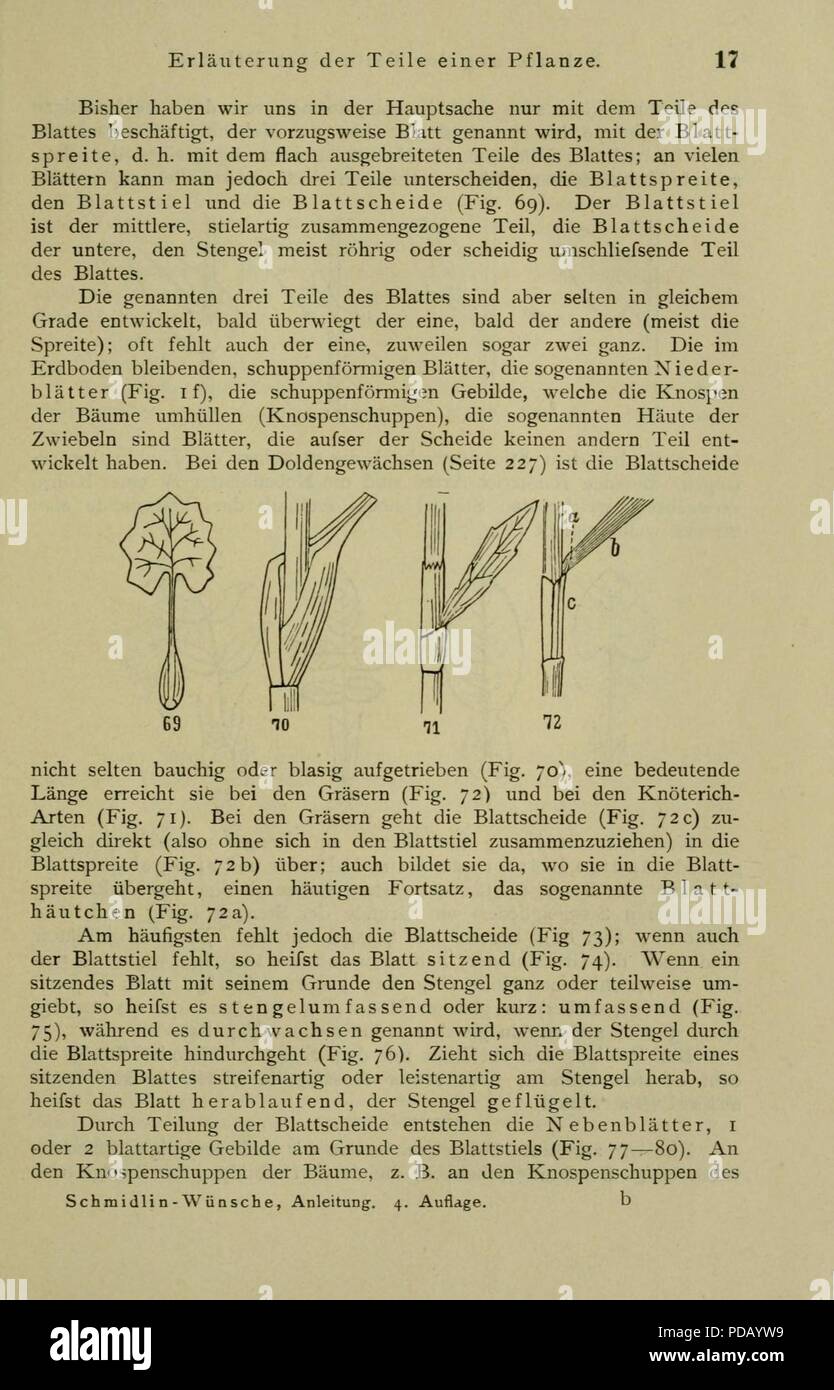 Anleitung Zum Botanisieren Und Zur Anlegung von Pflanzensammlungen (Seite 17) Stockfoto