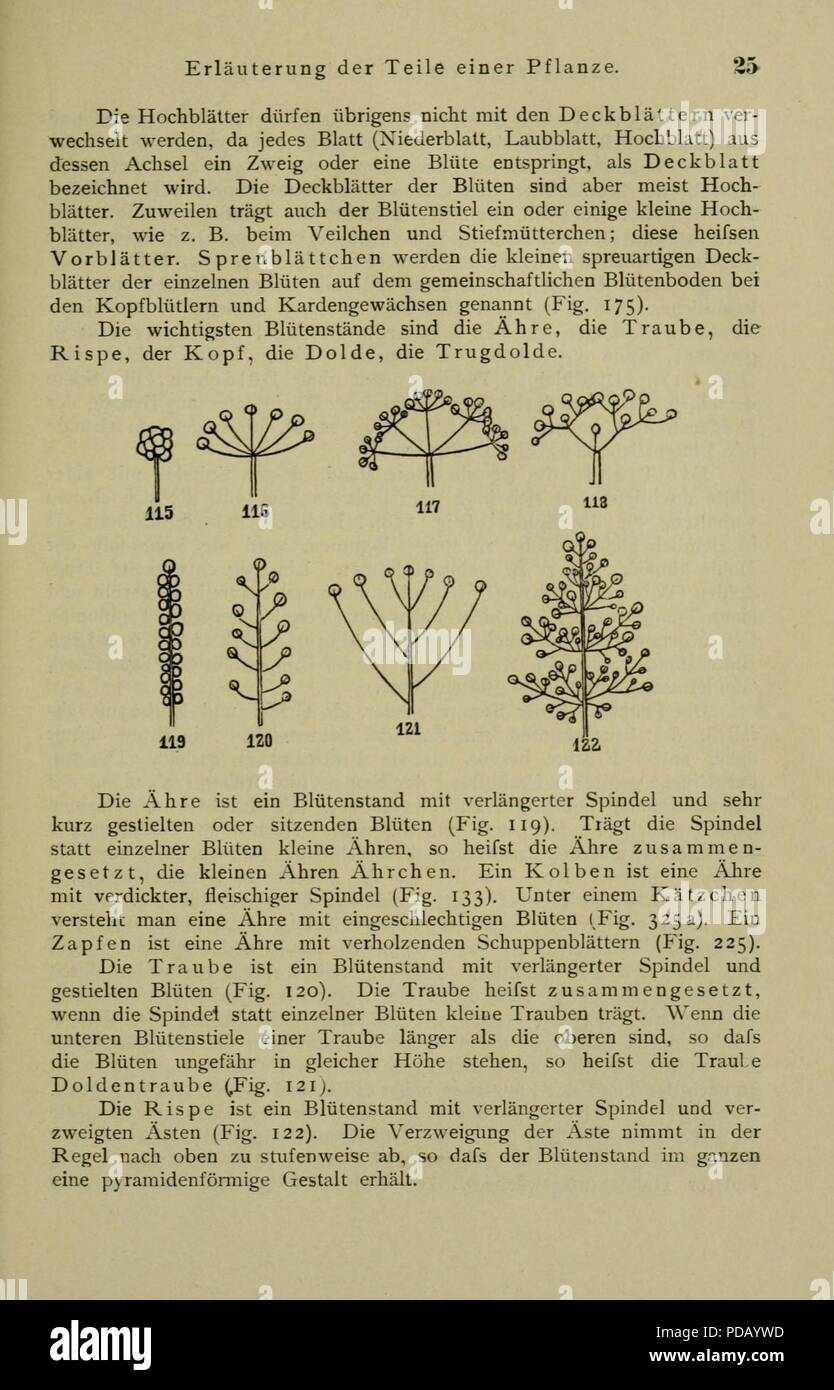 Anleitung Zum Botanisieren Und Zur Anlegung von Pflanzensammlungen (Seite 25) Stockfoto