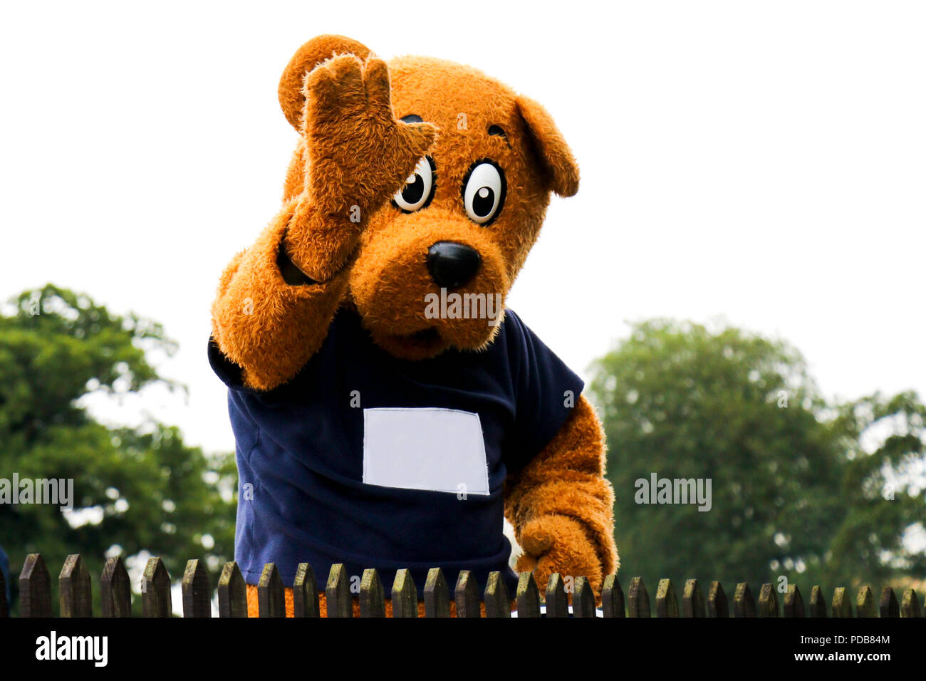 Winkende riesen Teddy Bear Stockfoto