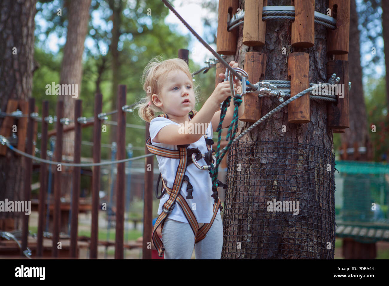 Kleines Mädchen genießen die Aktivität im Seilpark. Stockfoto