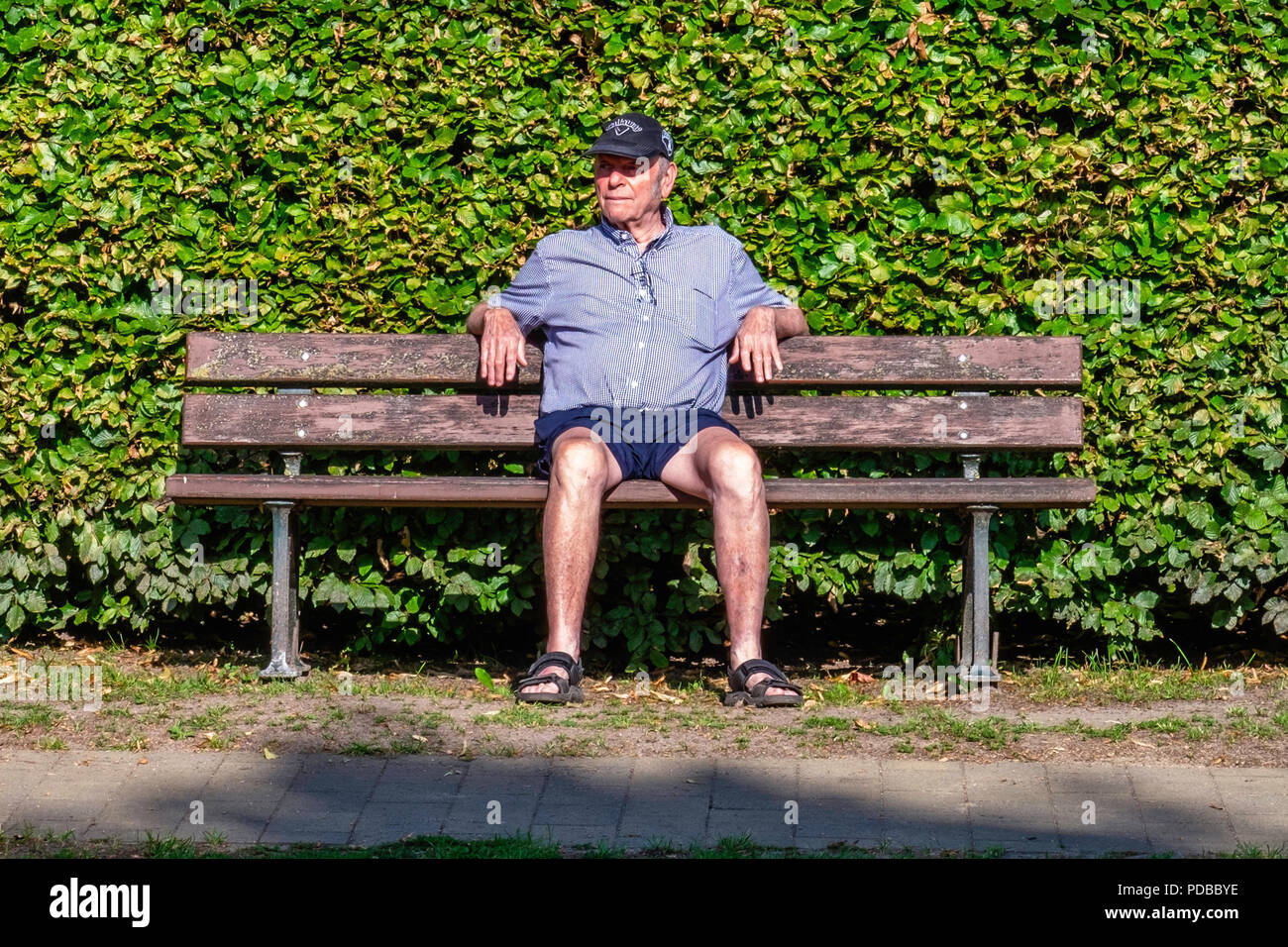 Senior älterer Mann sitzt auf der Bank vor der Efeu bedeckten Wand Stockfoto