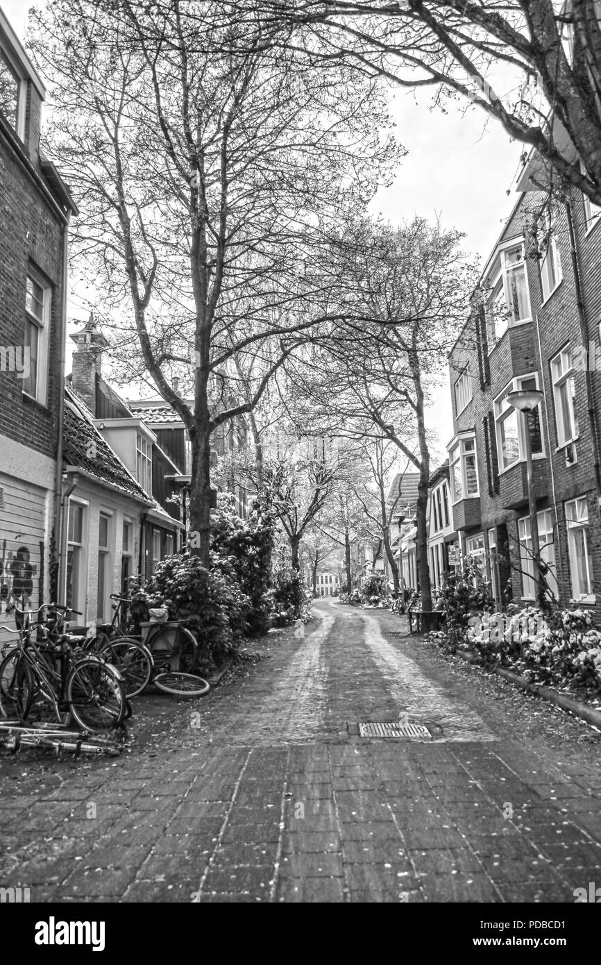 Fahrräder und Bäume in einer Straße in der Universitätsstadt Groningen, Niederlande an einem Winter in Schwarz und Weiß Stockfoto