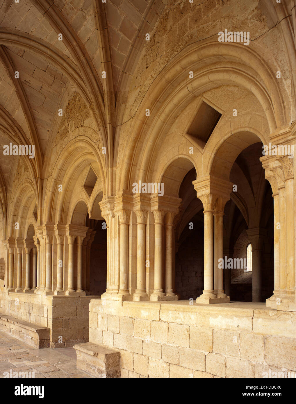 Aiguamúrcia, KlosterSantes Creus. Zisterzienserkloster aus dem 12. Jahrhundert. Kreuzgang. Blick in den Kapitelsaal Stockfoto