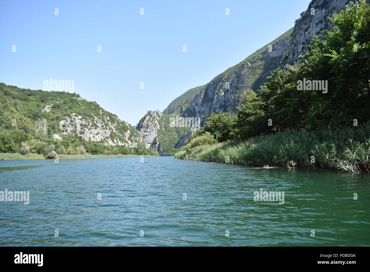 Türkisblaue Fluss unten in eine Schlucht in Omis, Kroatien, von Pflanzen, Bäumen und Felsen, Felsen, Bergen umgeben. Stockfoto