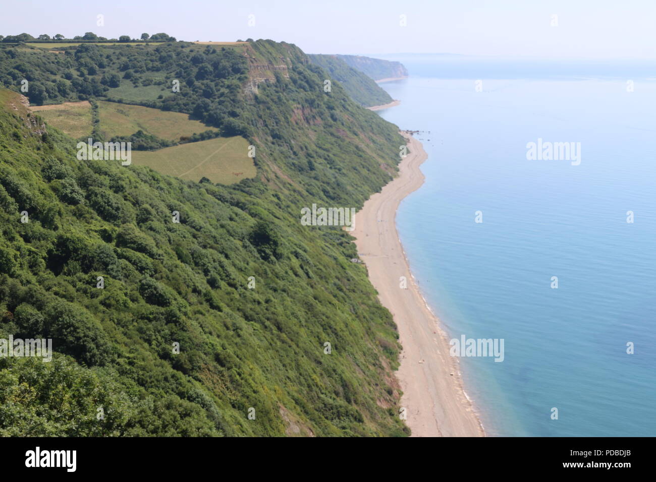 Englisch tropischen, die Strand in Devon Stockfoto