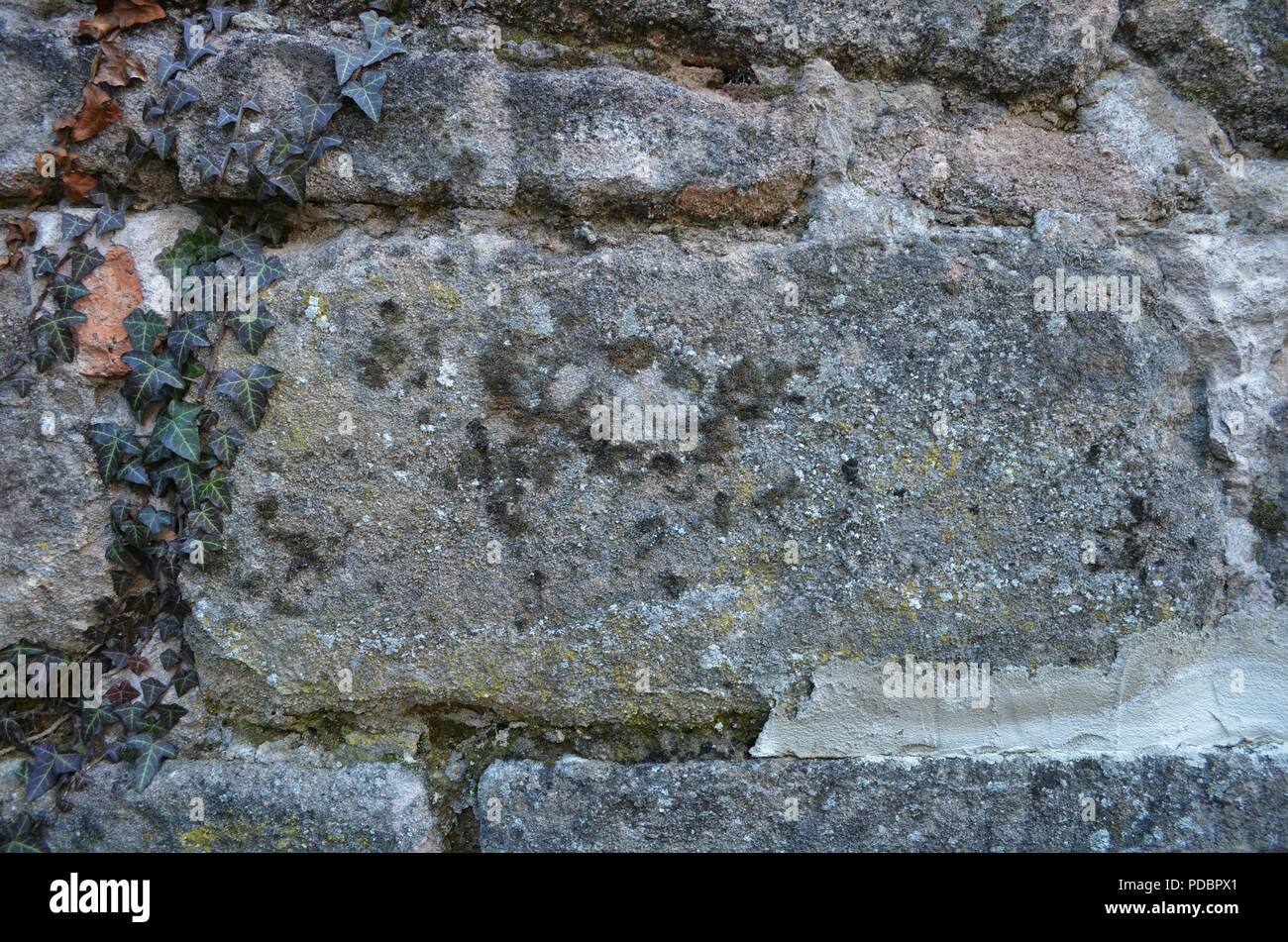 Steinmauer Mit Efeu Bedeckt Stockfotos und bilder Kaufen Alamy
