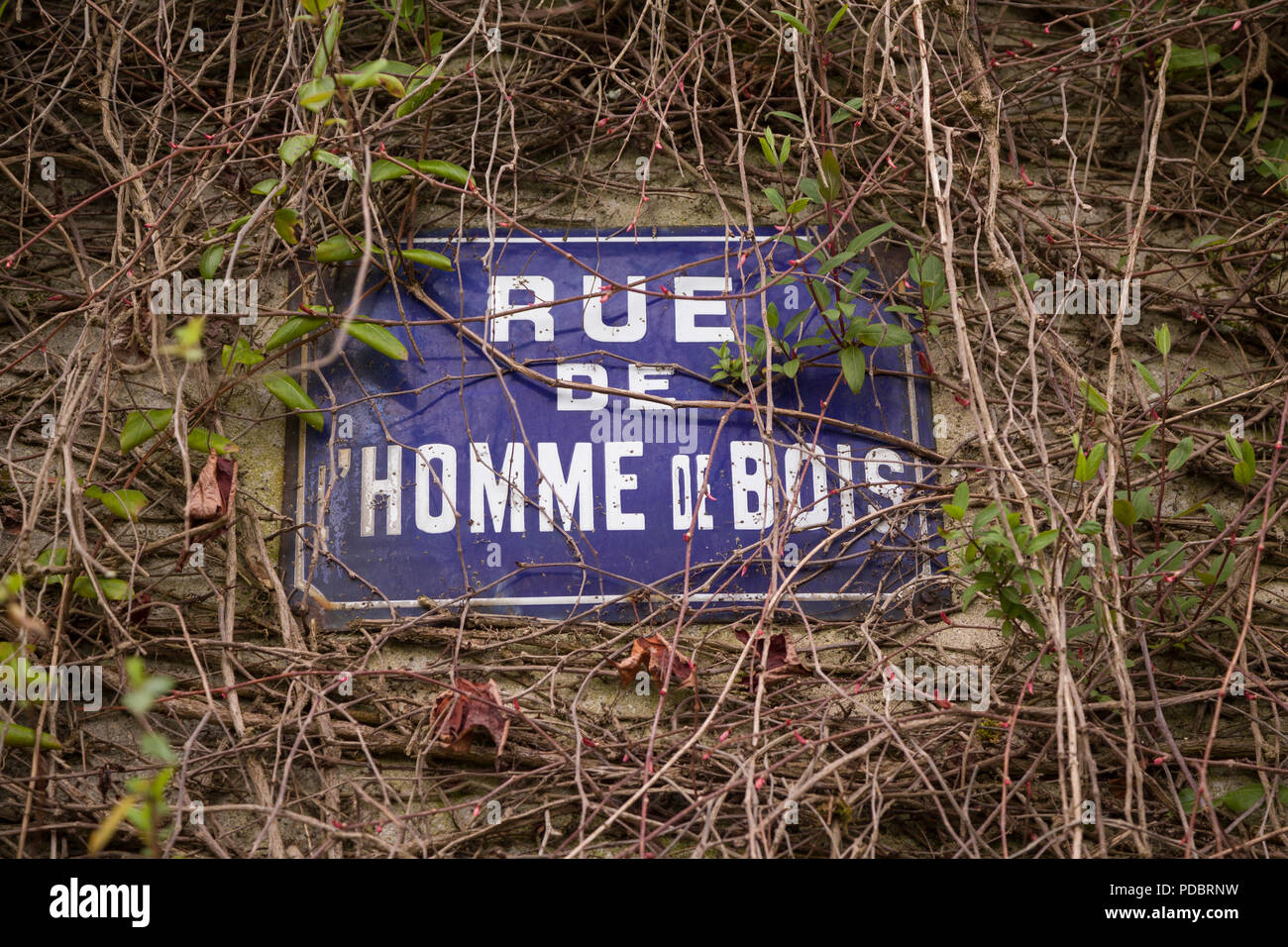 Alte blaue und weiße Emaille Straßenschild für die 'Rue de Homme de Bois", Honfleur, Normandie, Frankreich Stockfoto