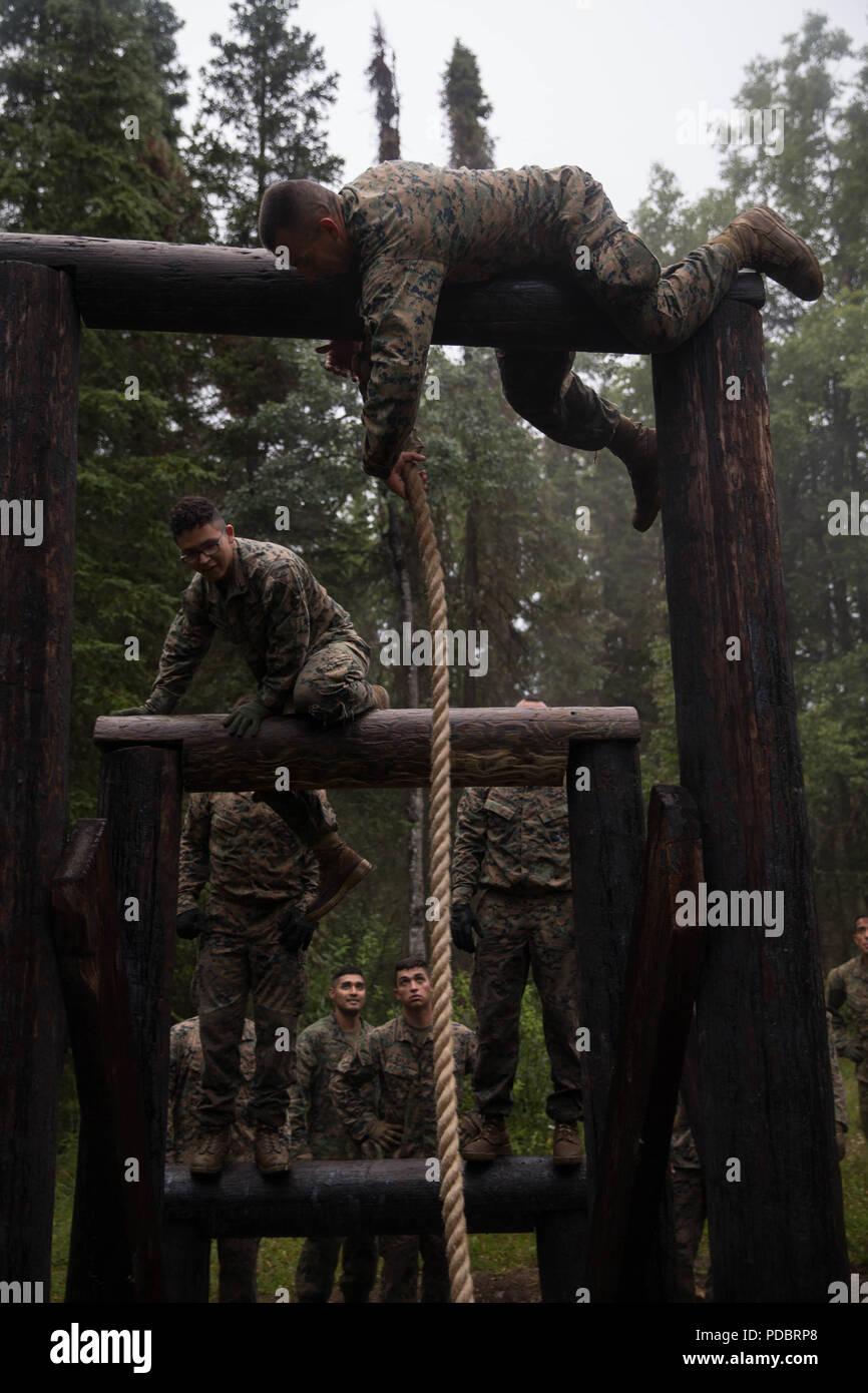 Marines mit Charlie Company, 1.Bataillon, 23 Marine Regiment, konkurrieren in der 4. Marine Division jährliche Rifle Squad Wettbewerb, packen Sie eine zweistündige timed Hindernis Kurs am Joint Base Elmendorf-Richardson, Anchorage, Alaska, 3. August 2018. Super Squad Wettbewerbe wurden entwickelt, um eine 14-Mann Infanterie Squad in ein weites Feld und Live-fire Evolution zu bewerten. (U.S. Marine Corps Foto von Lance Cpl. Samantha Schwoch/freigegeben) Stockfoto