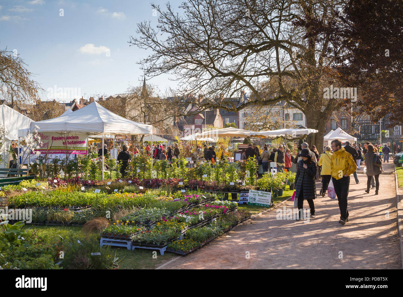 Einen allgemeinen Überblick über Passionnément jardin, der jährliche Gartenschau in den öffentlichen Park in Honfleur, Normandie, Frankreich Stockfoto