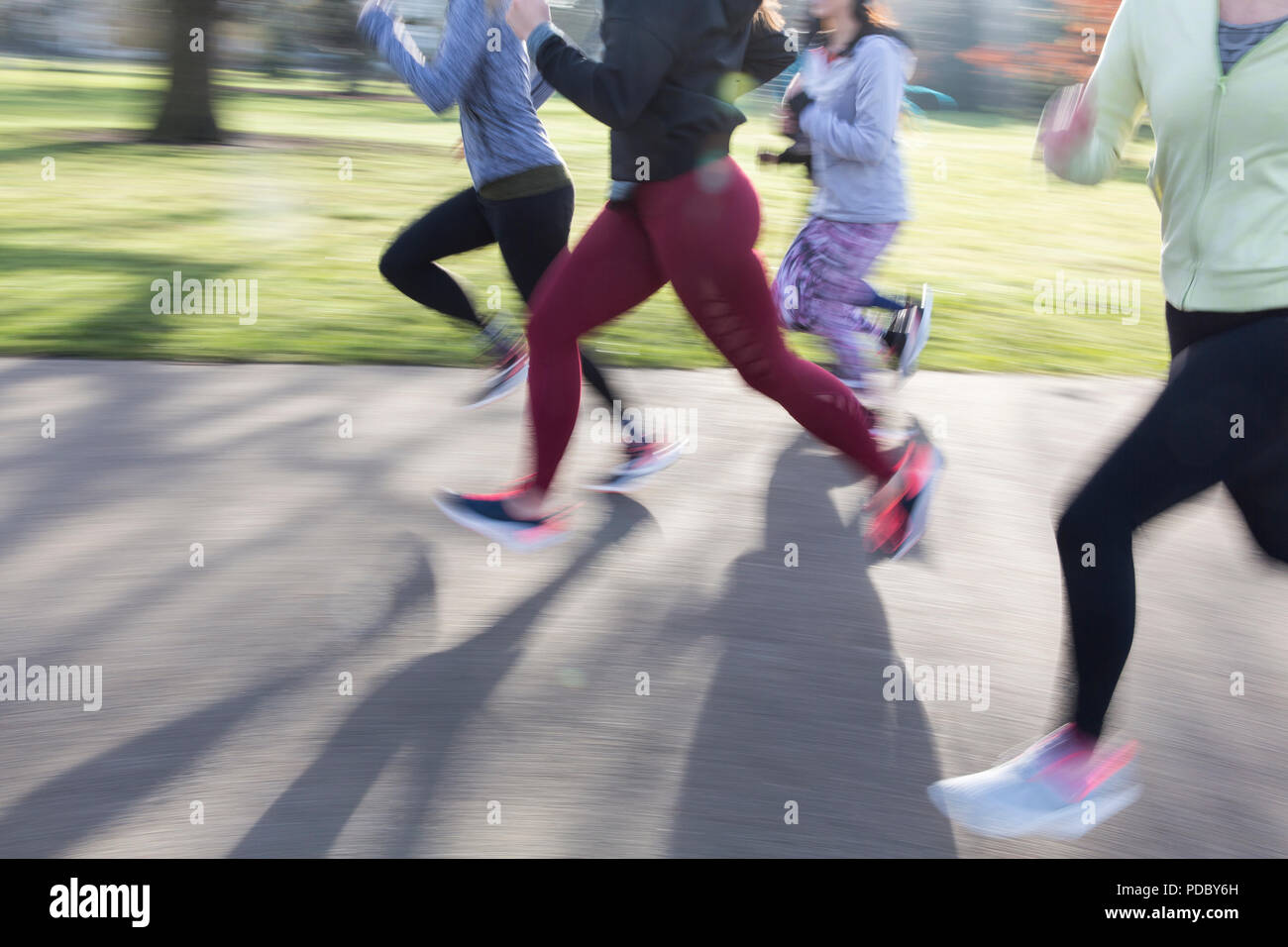 Läuferinnen, die in Bewegung sind, laufen im Park Stockfoto