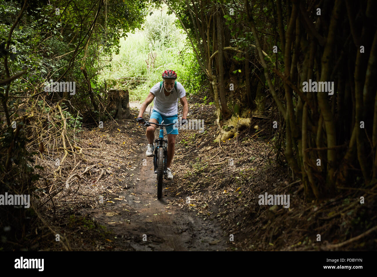 Reifer mann Mountainbiken auf Trail im Wald Stockfoto