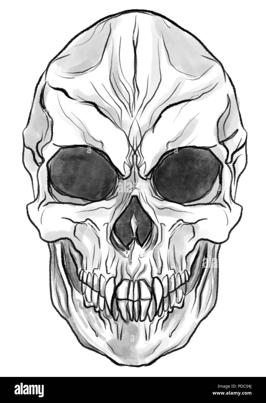 Gruselige vampire Skull Stockfoto