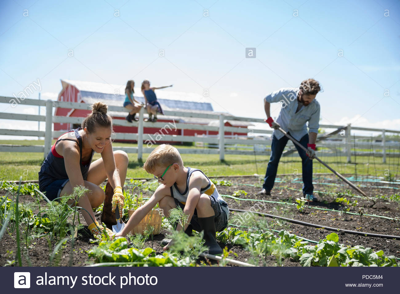Familie Gartenarbeit in den sonnigen ländlichen Garten Stockfoto