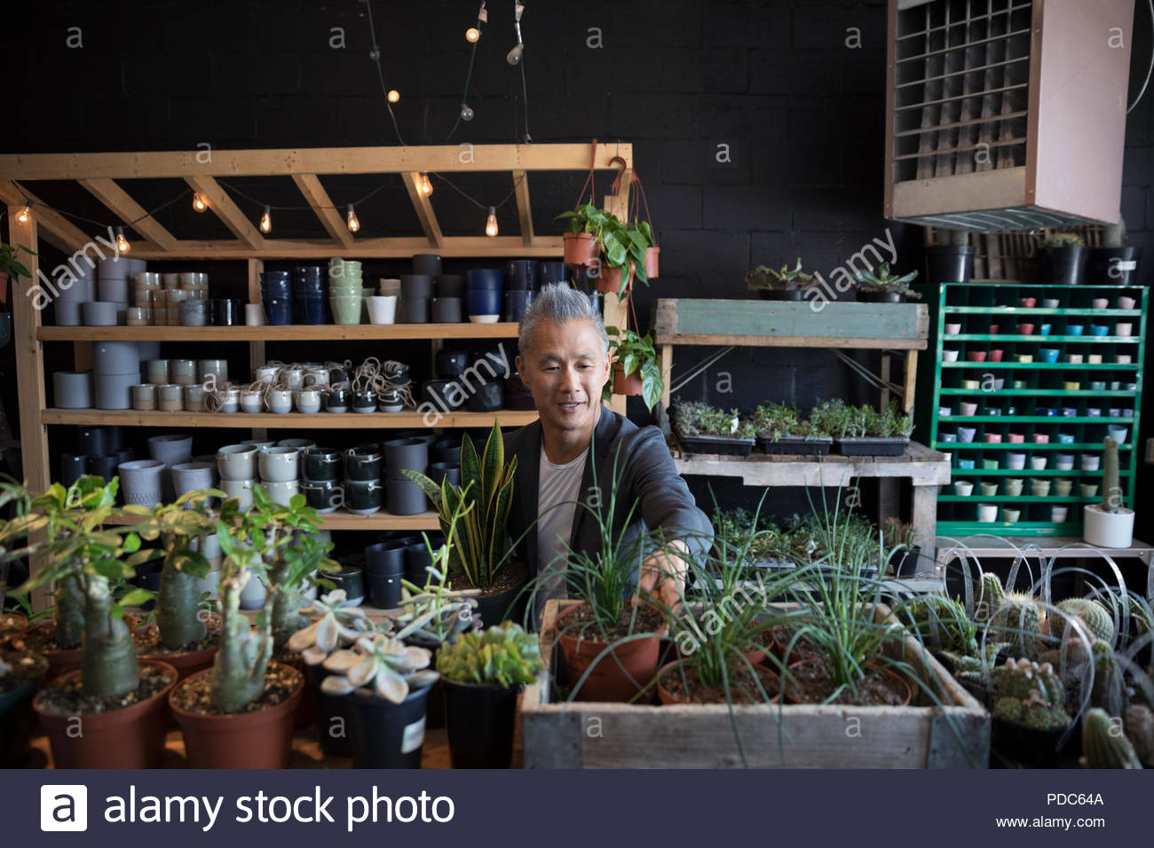 Reifer mann Einkaufen in Pflanzen shop Stockfoto