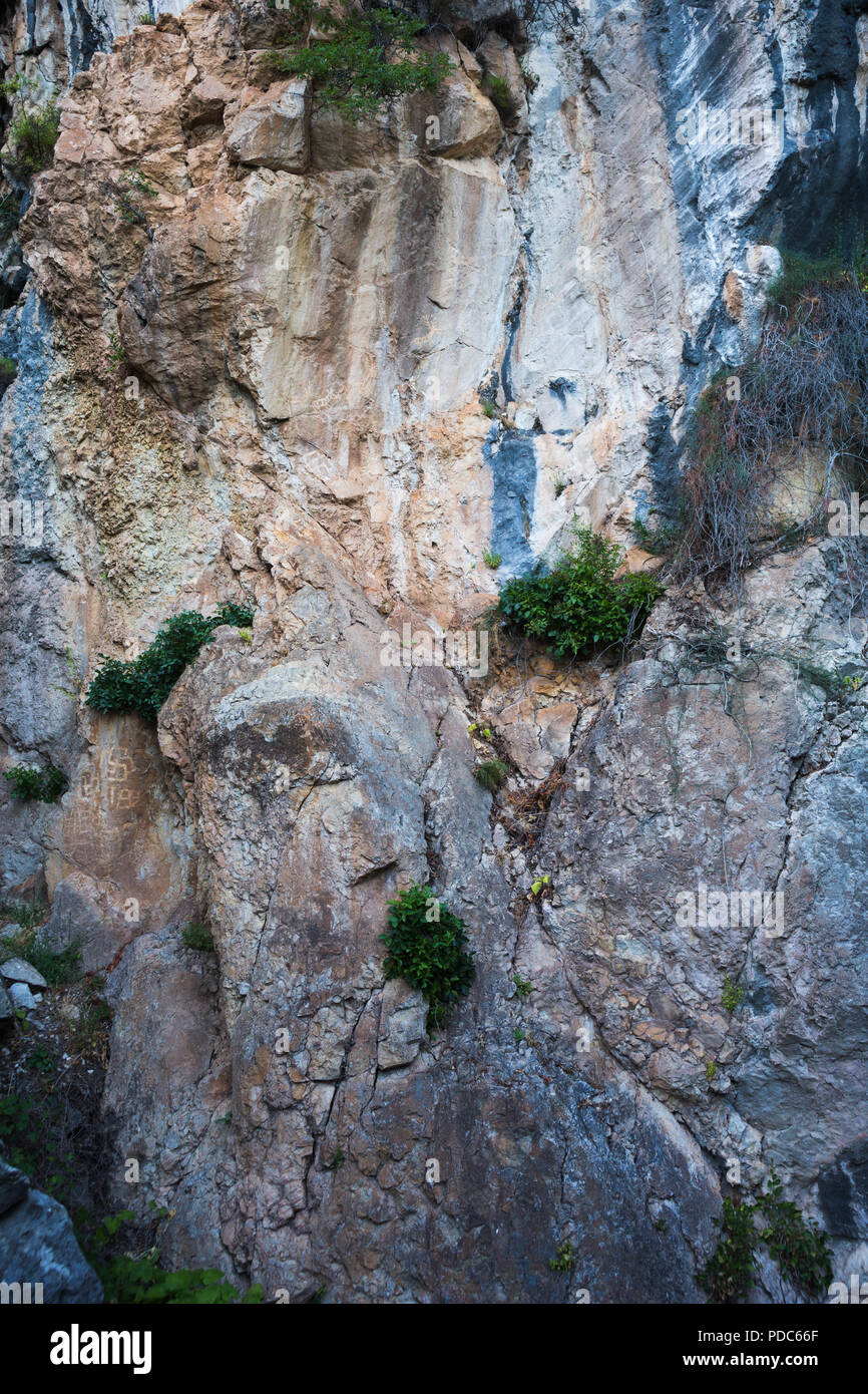 Alte prähistorische archäologische rock Zeichnungen von Jagdszenen angezeigt Rehe Hirsche, Reiter und symbolische Kult Hakenkreuze an Lipci, Montenegro. Stockfoto