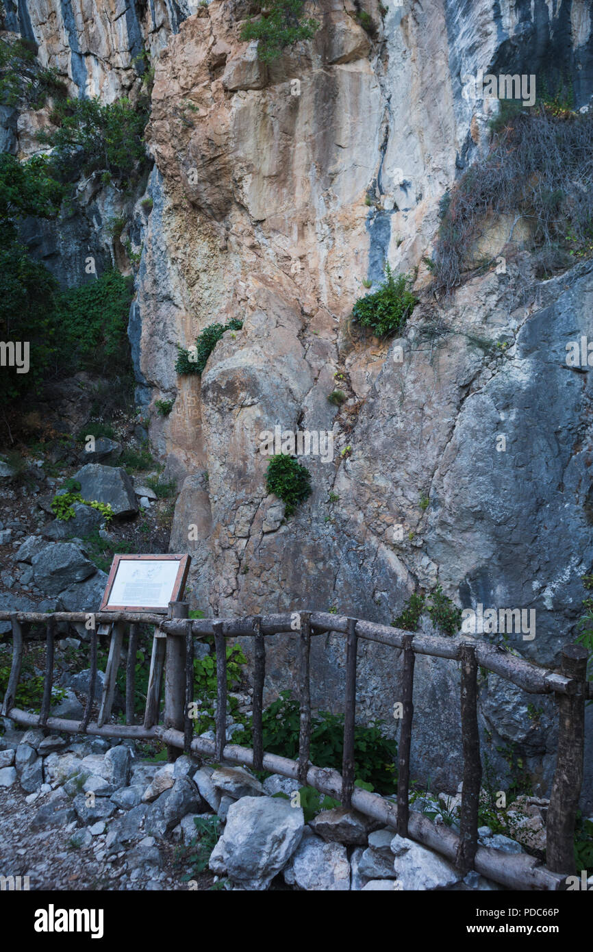 Alte prähistorische archäologische rock Zeichnungen von Jagdszenen angezeigt Rehe Hirsche, Reiter und symbolische Kult Hakenkreuze an Lipci, Montenegro. Stockfoto
