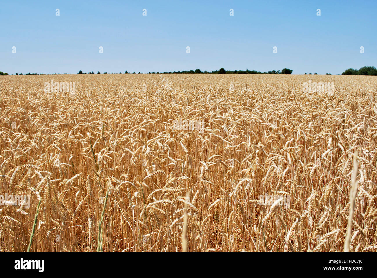 Landschaft in der Provence, Frankreich Stockfoto