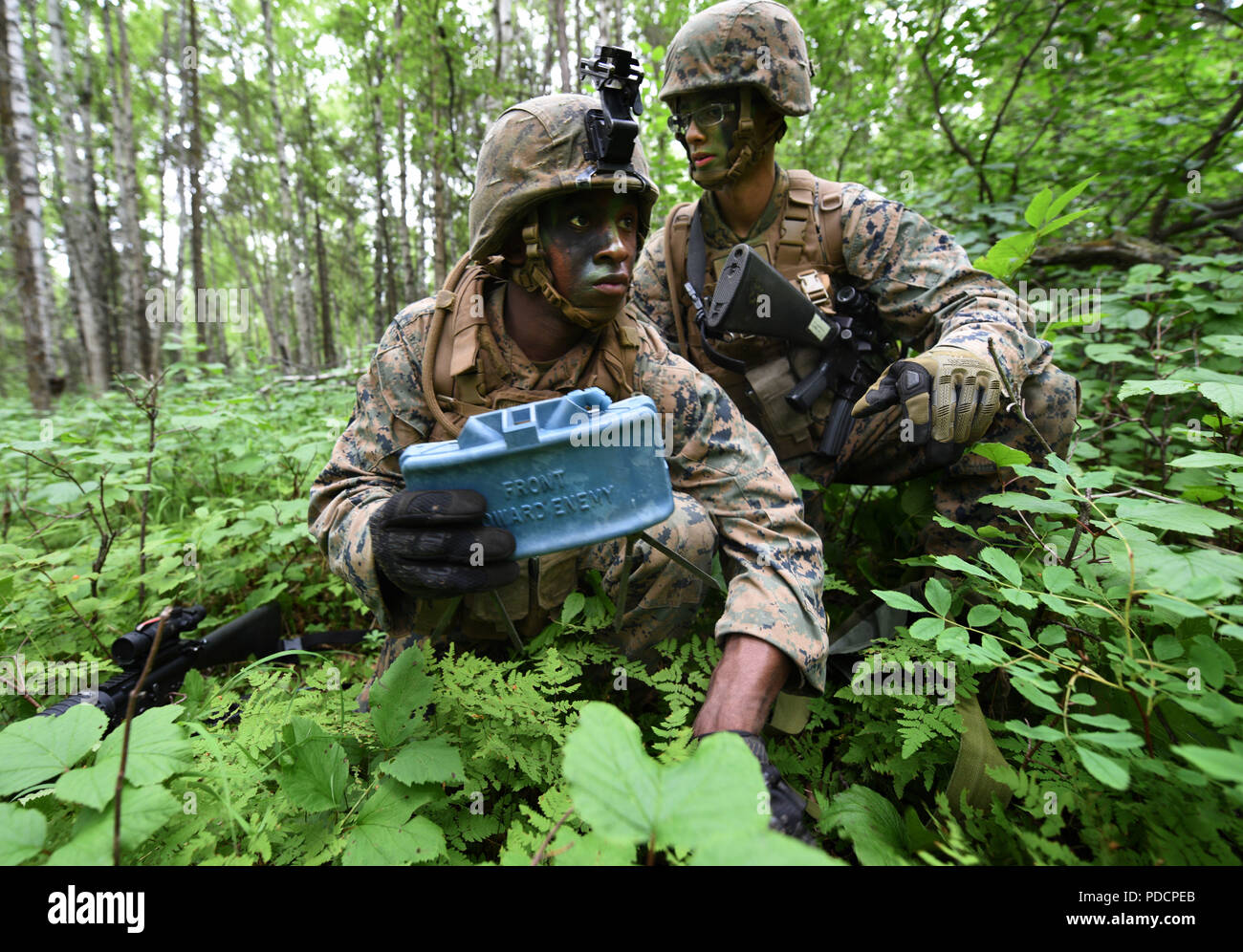 Marines mit 3 Bataillon, 23 Marine Regiment, mit simulierten claymores einen voreiligen Verteidigung nach Schmierblutungen eine gegnerische Patrouille im 4. Marine Division jährliche Rifle Squad Wettbewerb im Joint Base Elmendorf-Richardson, Anchorage, Alaska, Aug 4, 2018. Super Squad Wettbewerbe wurden entwickelt, um eine 14-Mann Infanterie Squad in ein weites Feld und Live-fire Evolution zu bewerten. (U.S. Air Force Foto von Jamal Wilson) Stockfoto