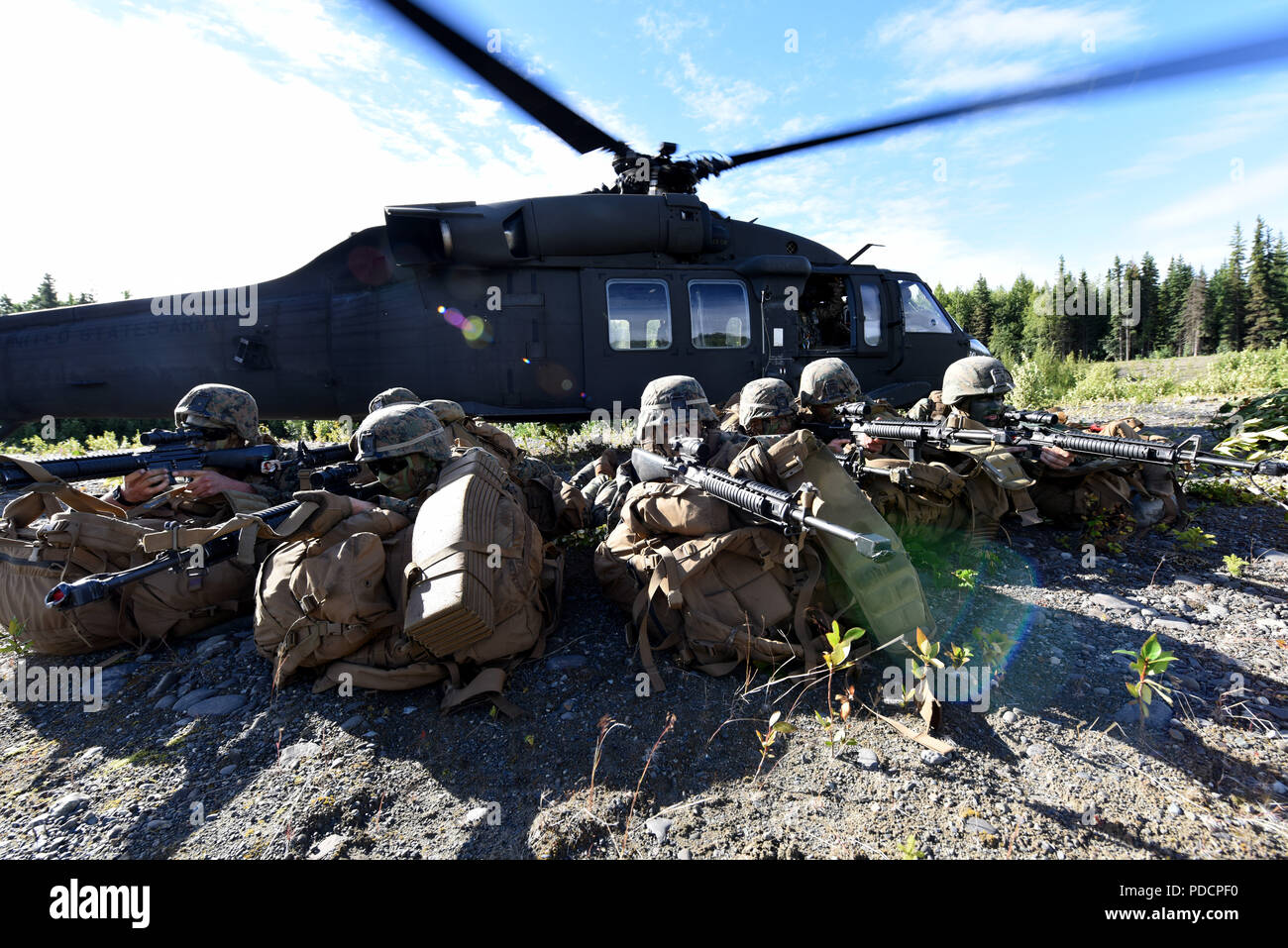 Marines mit Charlie Company, 1.Bataillon, 24 Marine Regiment Einrichten einer defensiven Perimeter nach dem Aussteigen aus einem UH-60 Black Hawk im 4. Marine Division jährliche Rifle Squad Wettbewerb im Joint Base Elmendorf-Richardson, Anchorage, Alaska, 3. August 2018. Super Squad Wettbewerbe wurden entwickelt, um eine 14-Mann Infanterie Squad in ein weites Feld und Live-fire Evolution zu bewerten. (U.S. Air Force Foto von Jamal Wilson) Stockfoto