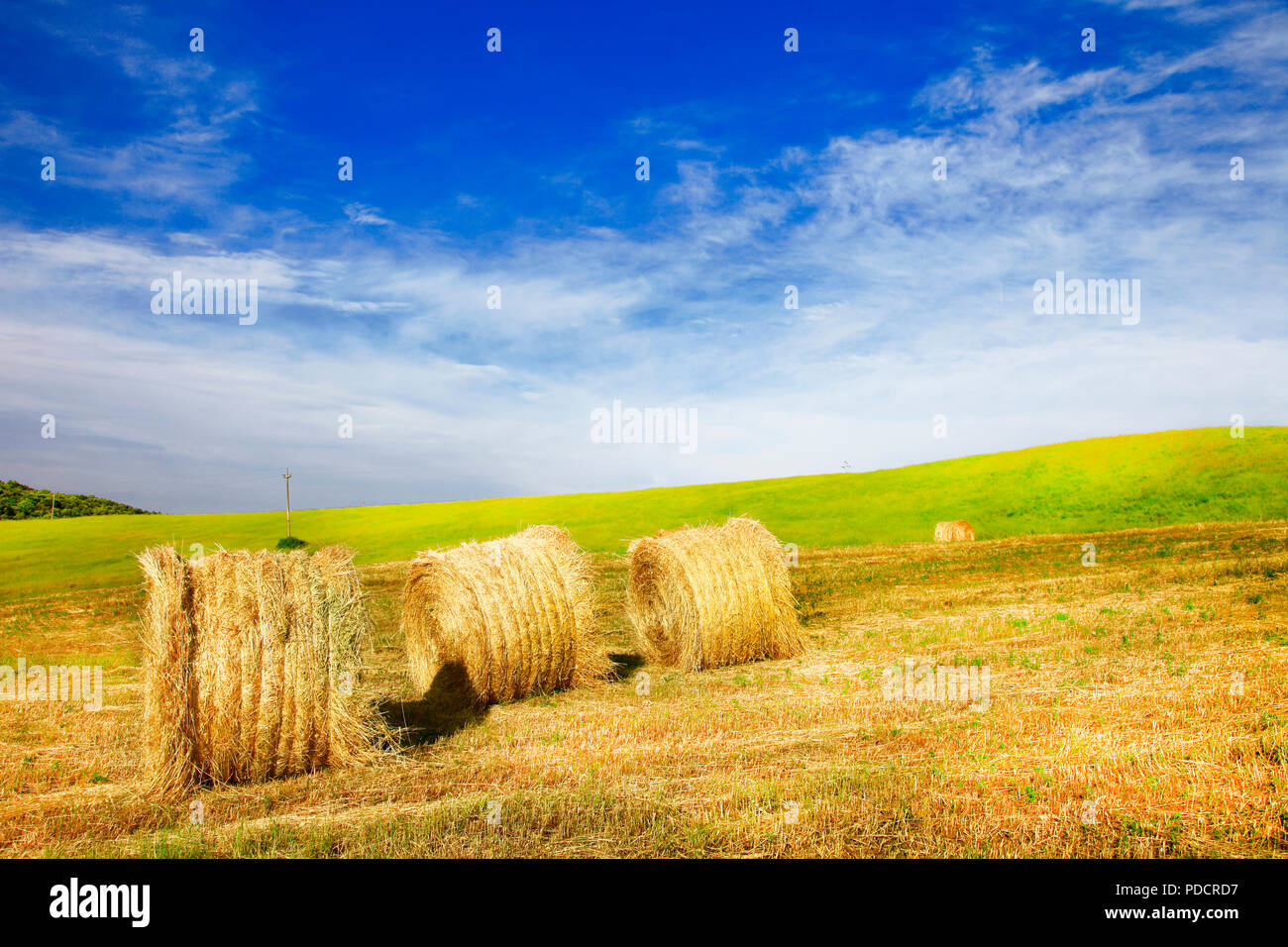 Beeindruckende Landschaft der Toskana, mit Rollen und Felder, Val d'Orcia, Pienza, Italien. Stockfoto