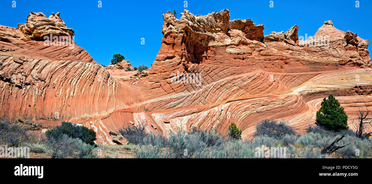 AZ 00232-00 ... ARIZONA - geschichteten Sandstein in der Cottonwood Cove Gebiet der Coyote Buttes South erlauben in der Paria Canyon - Vermilion Cliffs Wil Stockfoto