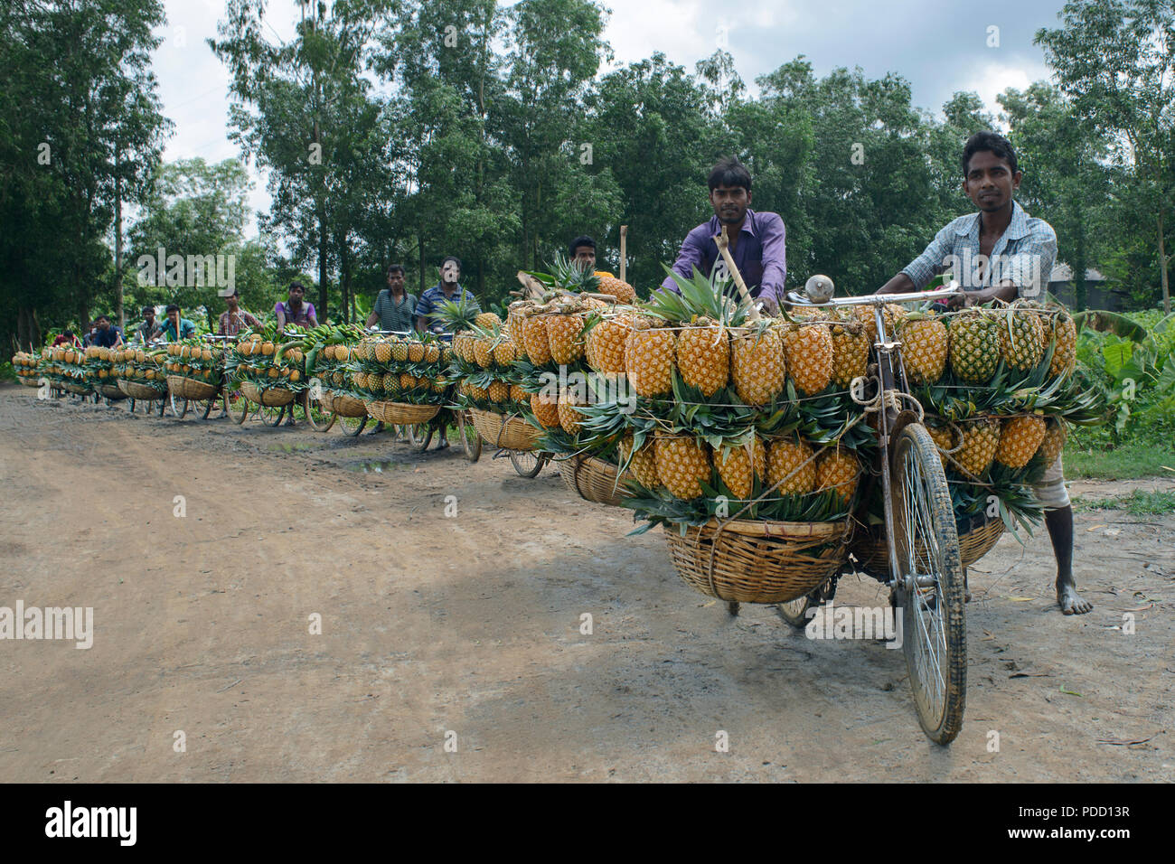 Ananas Stockfoto