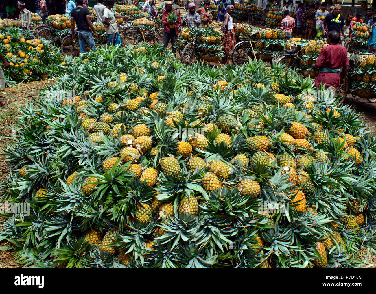 Ananas Stockfoto