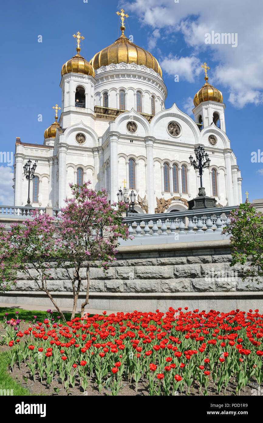 Die Christ-Erlöser-Kathedrale, die von Blumen im Frühjahr gerahmt Stockfoto