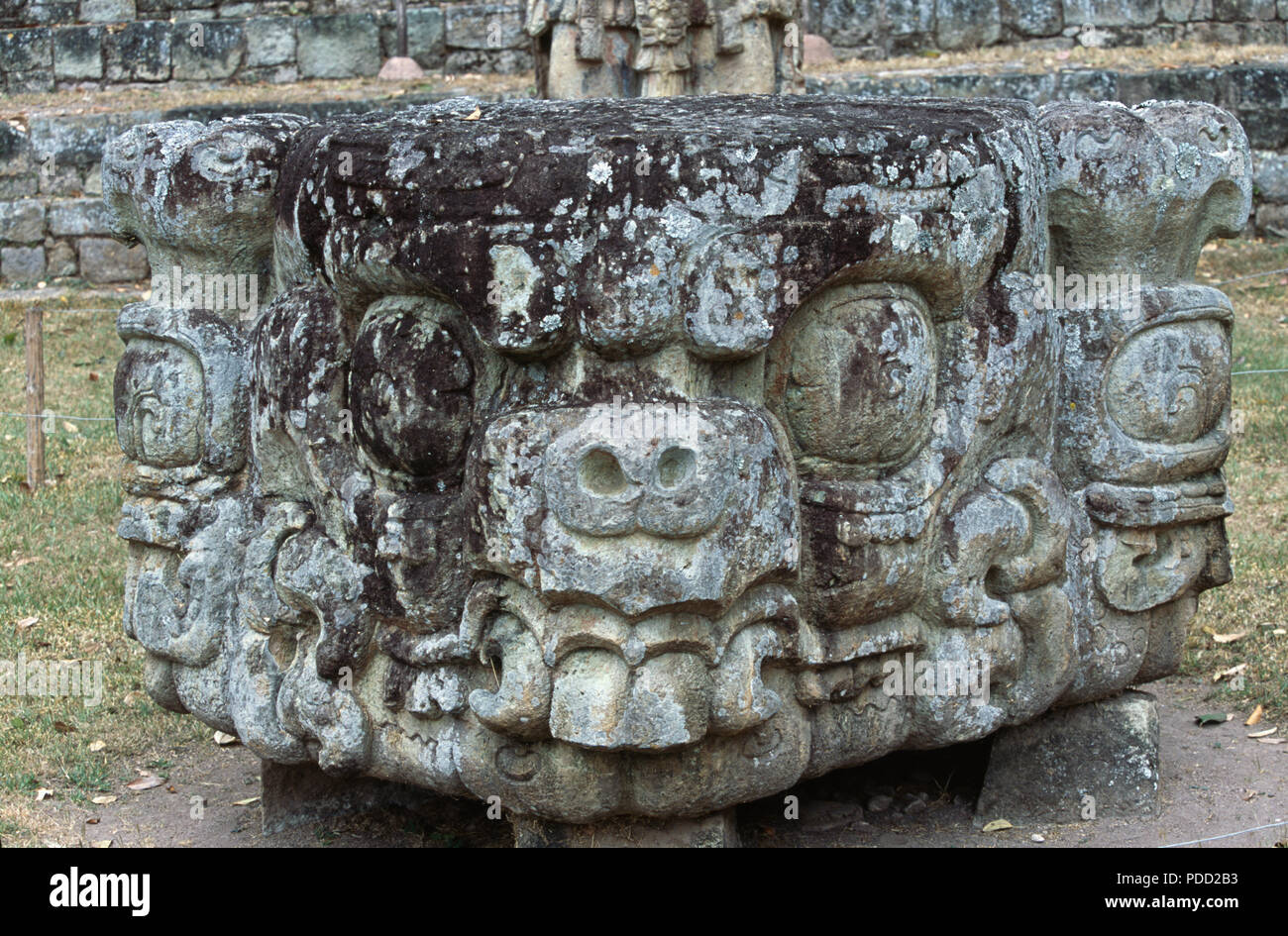 Opferaltar G3 in der großen Plaza in Copan, Honduras Stockfoto