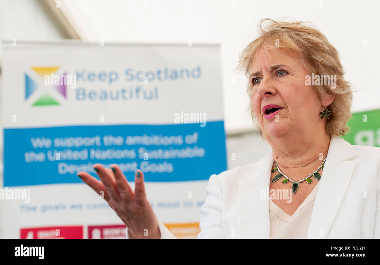 One Planet Picnic Pocket Gardens im Bereich Garden for Life bei Gardening Scotland, diese gard Stockfoto