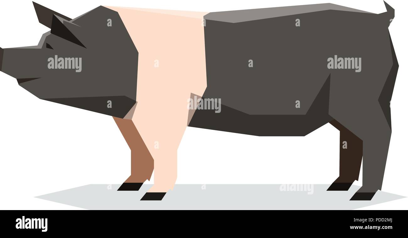 Flache geometrische Hampshire Schwein Stock Vektor