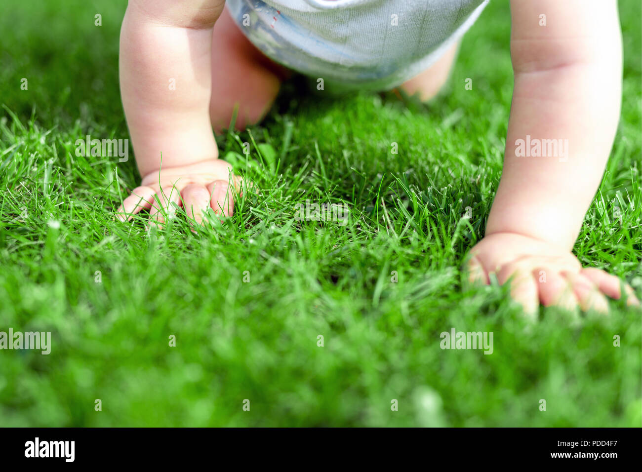 Crowling Baby Stockfotos Crowling Baby Bilder Alamy