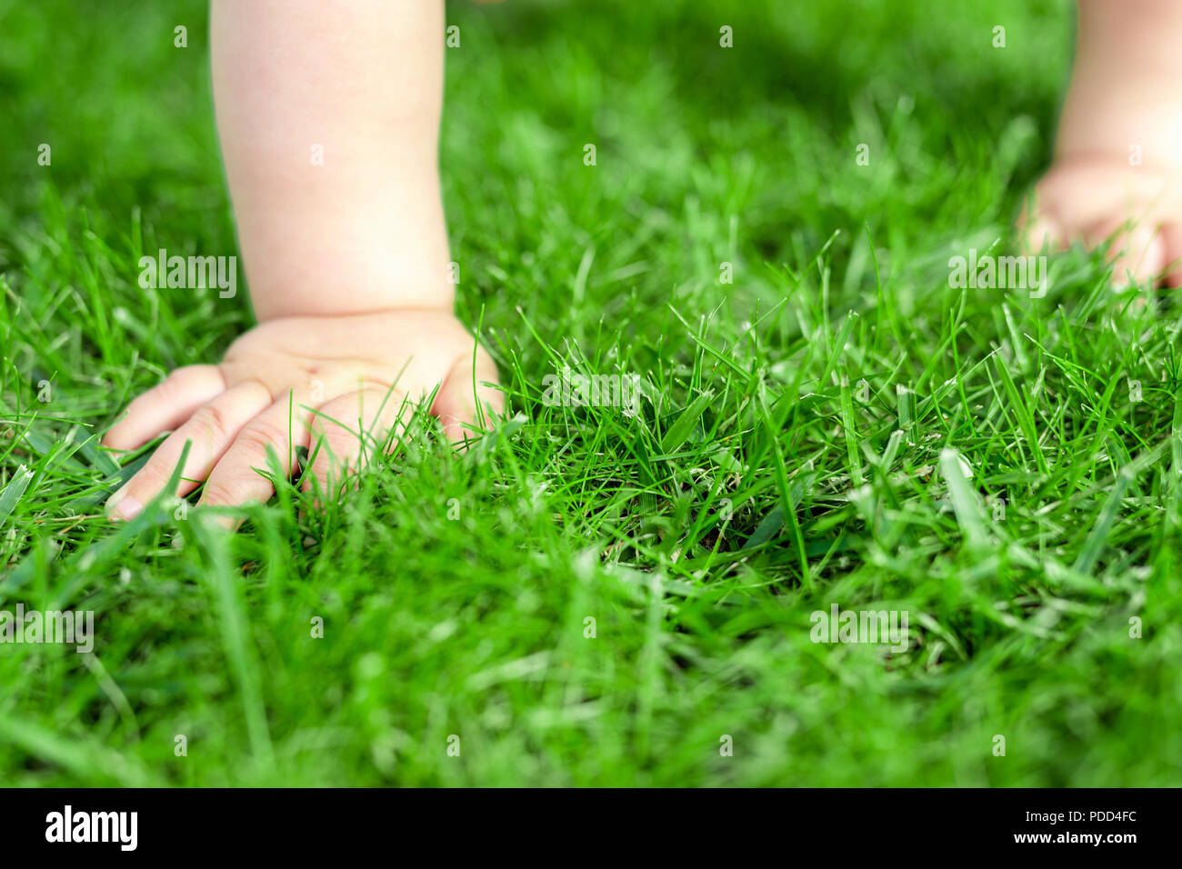 Close Up Baby Crowling Durch Grune Rasen Details Baby Hand