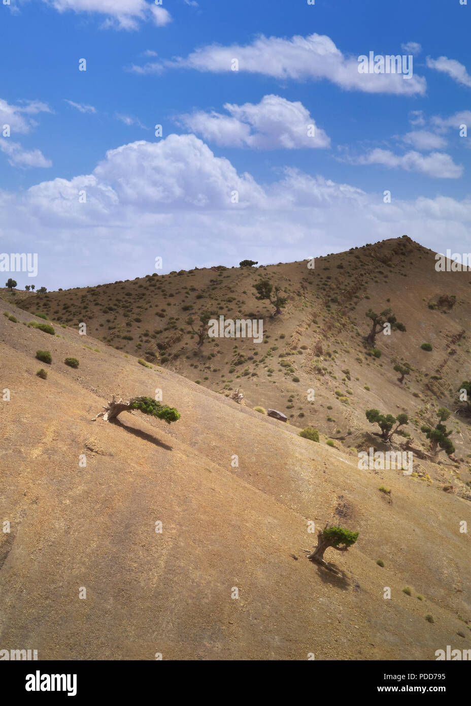 Süd Marokko. Ausläufer des Atlas in der Nähe der Sahara. Stockfoto