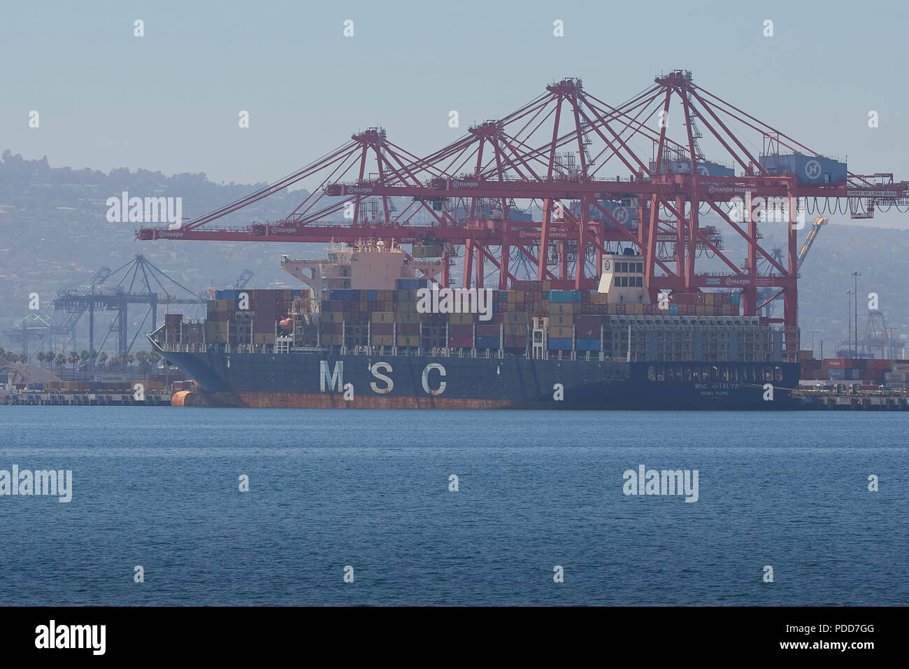 Das Containerschiff MSC ANTALYA, Be- und Entladen im Containerterminal Long Beach. Kalifornien, USA. Stockfoto