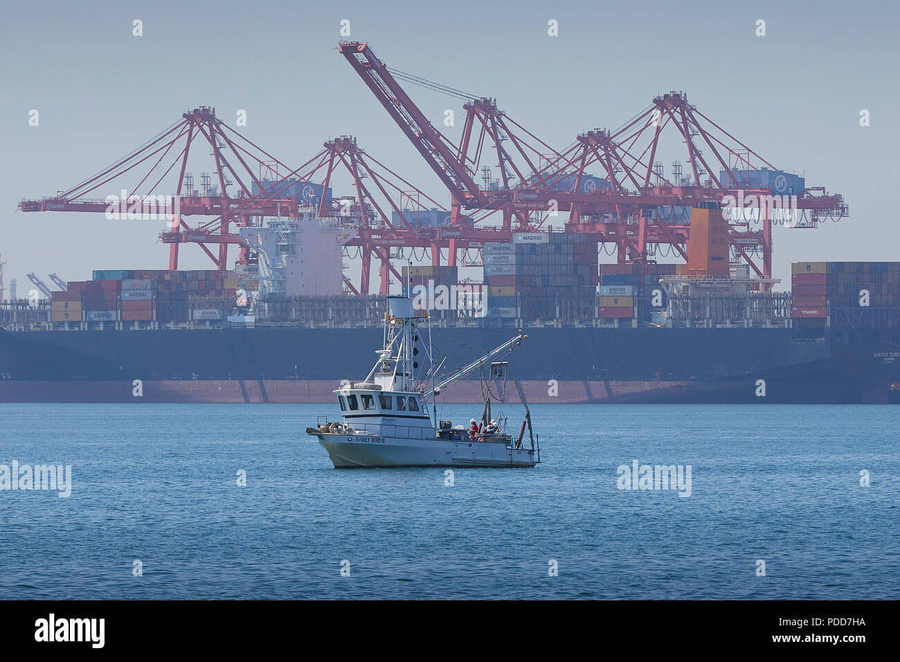 Der kommerzielle Fischfang Boot, EARLY BIRD II, Angeln im Hafen von Long Beach, das Containerschiff MAERSK EUREKA, Laden hinter sich. Kalifornien, USA. Stockfoto