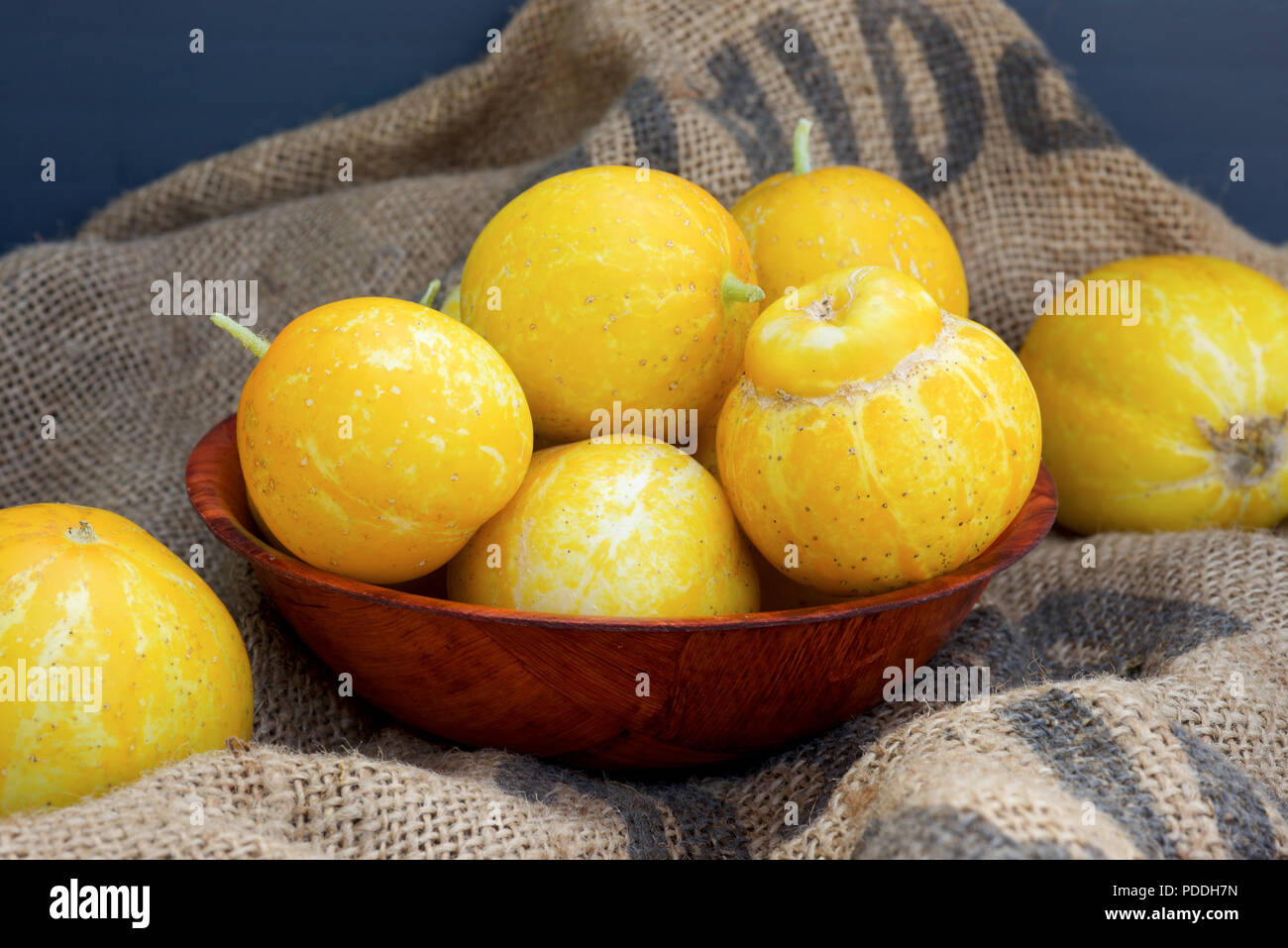 Zitrone Gurken, auch als Cucumis sativus in eine hölzerne Schüssel bekannt, auf eine rustikale hessische Hintergrund. Stockfoto