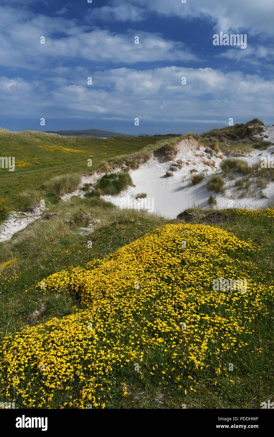 Sand dune gegen den dunklen Himmel; Clachan Sands; machair; North Uist, Schottland Stockfoto