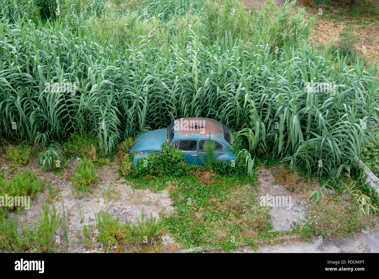 Alten, verlassenen Volkswagen Beetle Auto mit rostigen Dachterrasse von oben gesehen Stockfoto