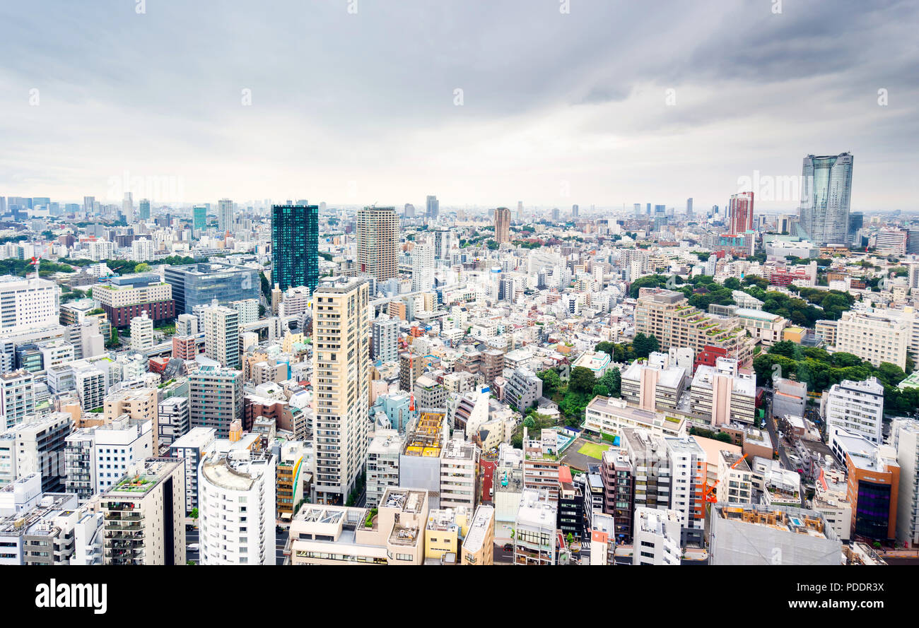 Wirtschaft und Kultur Konzept - Panoramablick auf die moderne Skyline der Stadt aus der Vogelperspektive Luftaufnahme von Tokyo Tower unter dramatischen Grau bewölkter Himmel in Tokio, Japan. Stockfoto