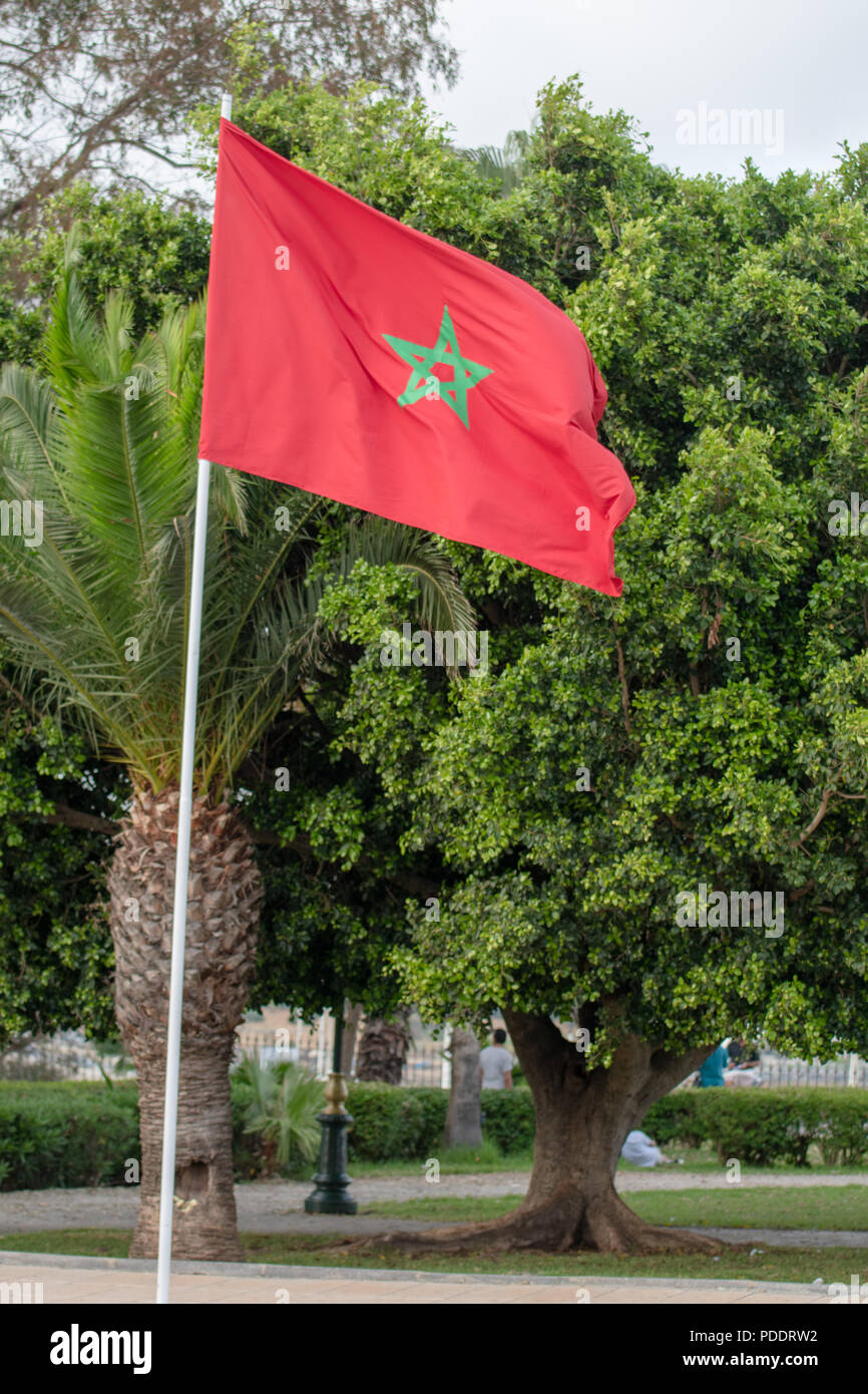 Marokkanische Flagge vor der Bäume Stockfoto