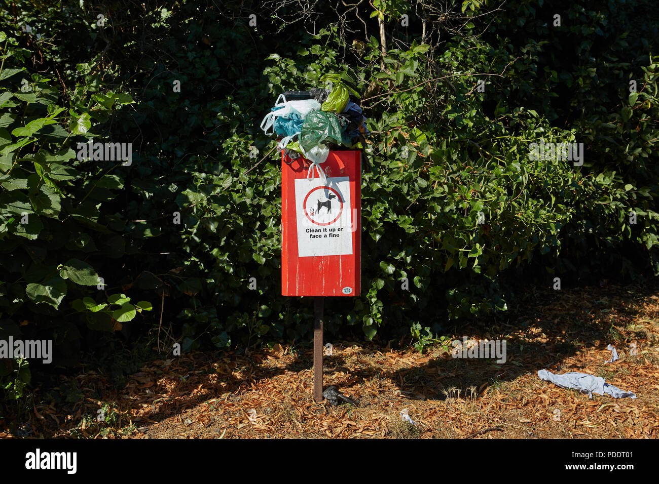 Ein hundehaufen bin überfüllt mit Dog poo Bags an einem der heißesten Tage des Sommers 2018 Stockfoto