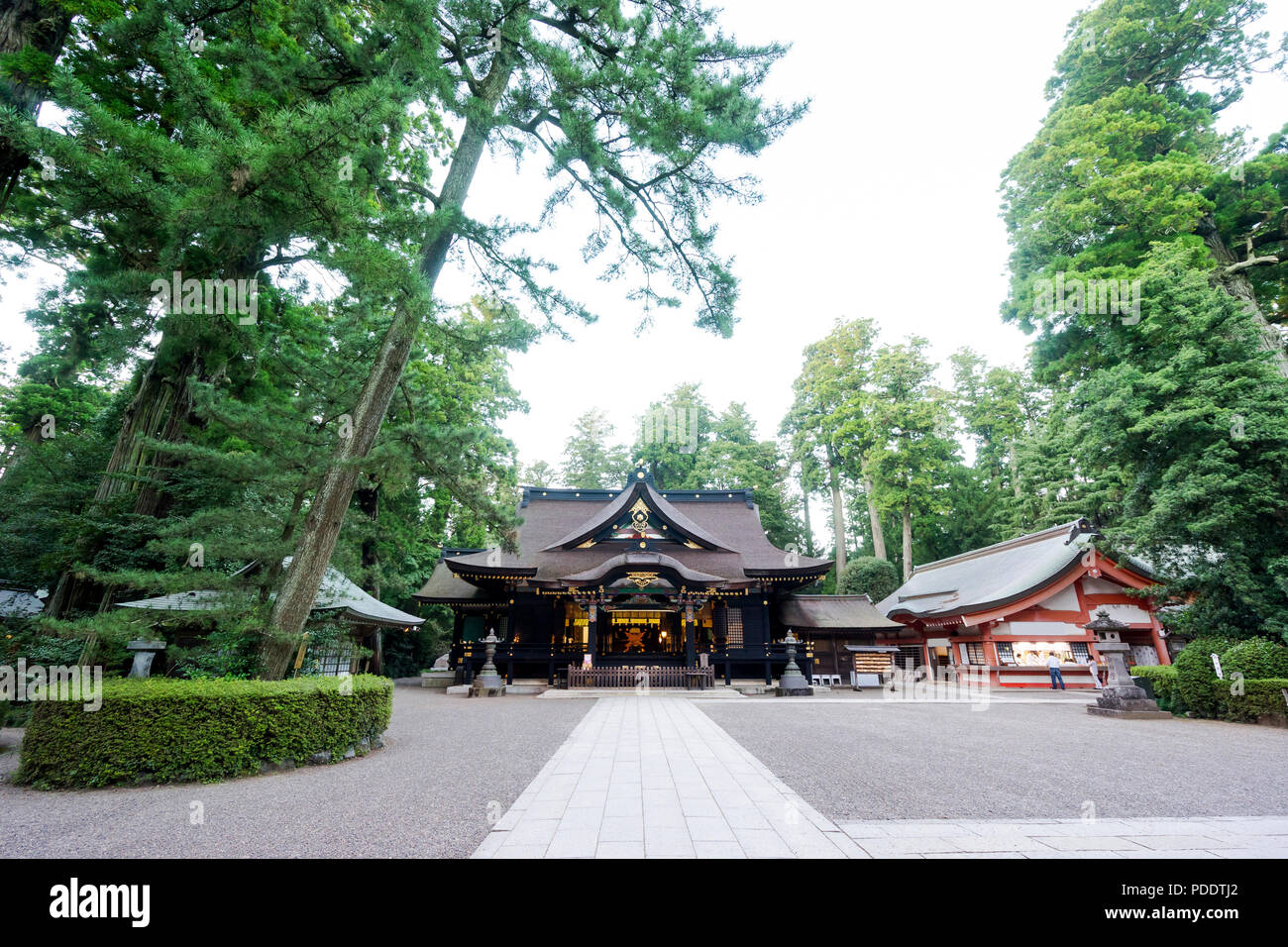Katori Jingu Schrein in grünen Wald. Geschichte-Kultur-Erbe in Chiba Präfektur, Japan Stockfoto