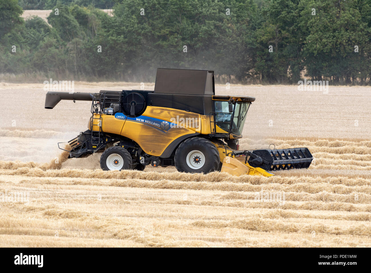 Mähdrescher bei der Arbeit auf landwirtschaftlichen Nutzflächen in der Erntezeit in Hampshire, England, Großbritannien Stockfoto