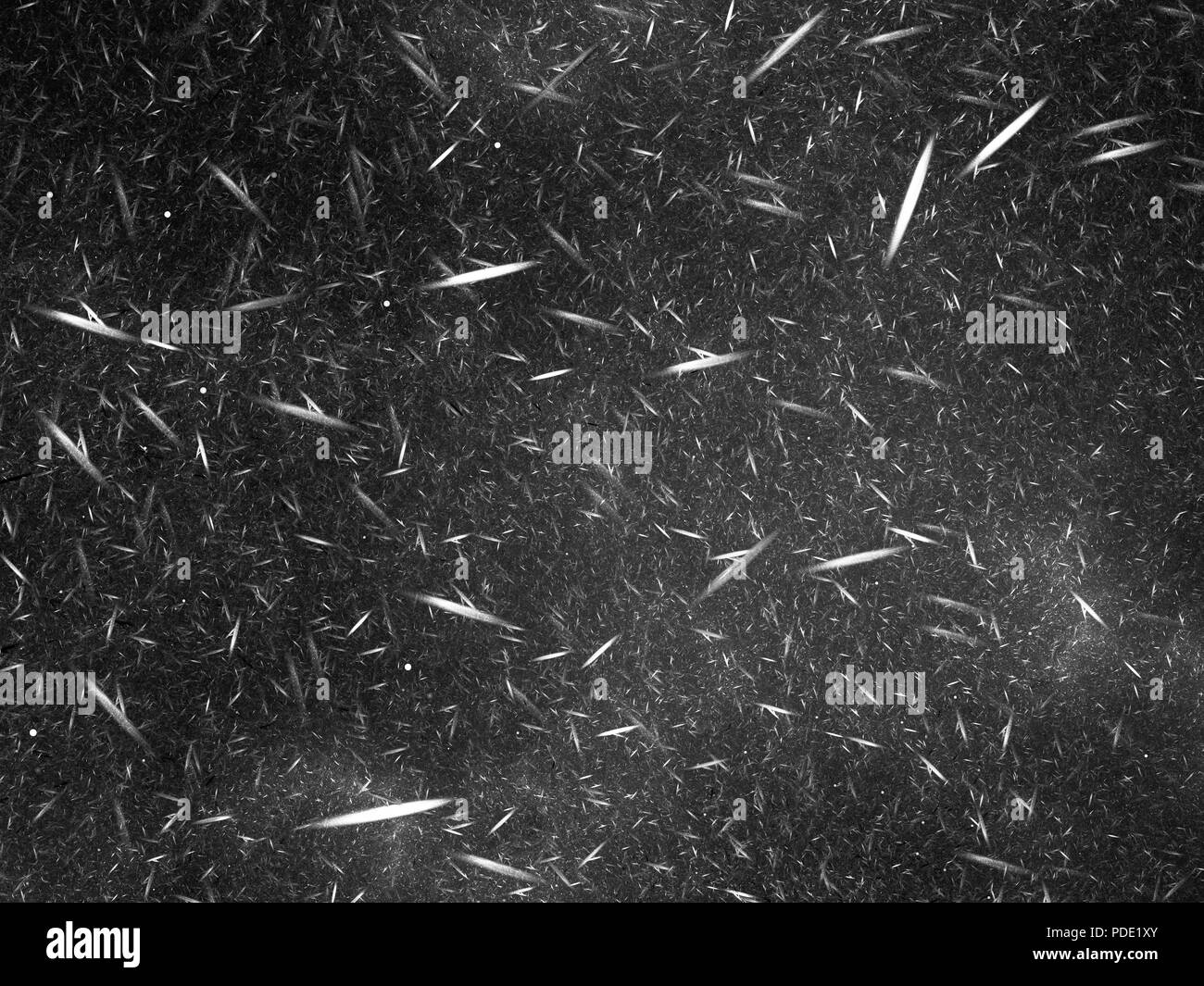 Teilchen im Raum Schwarzweiß-Effekt, computer-generierte Zusammenfassung Hintergrund, 3D-Rendering Stockfoto