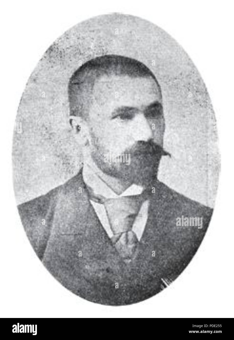 113 Dimitar Matov Stockfoto