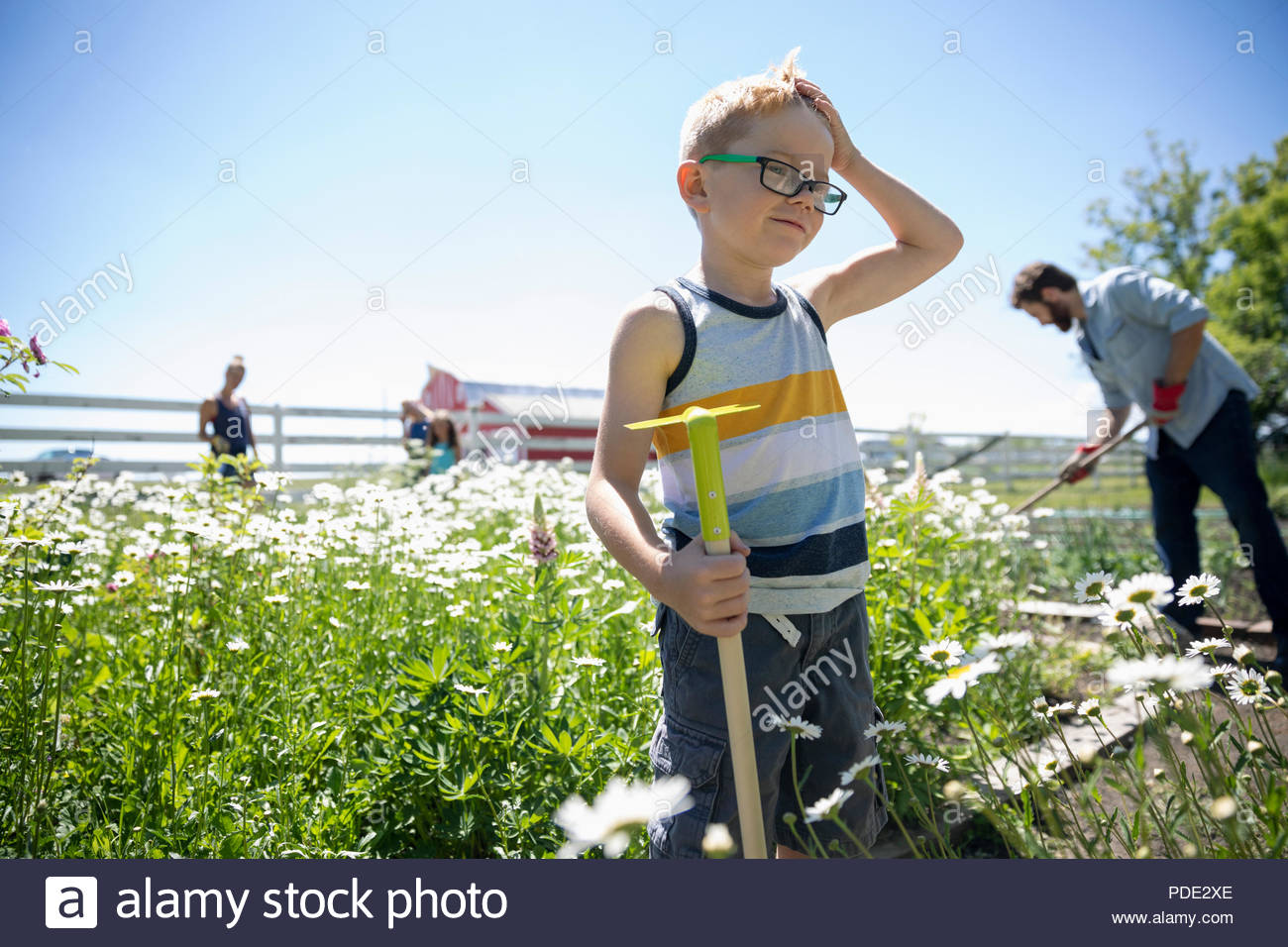 Junge Gartenarbeit mit Familie im sonnigen ländlichen Garten Stockfoto
