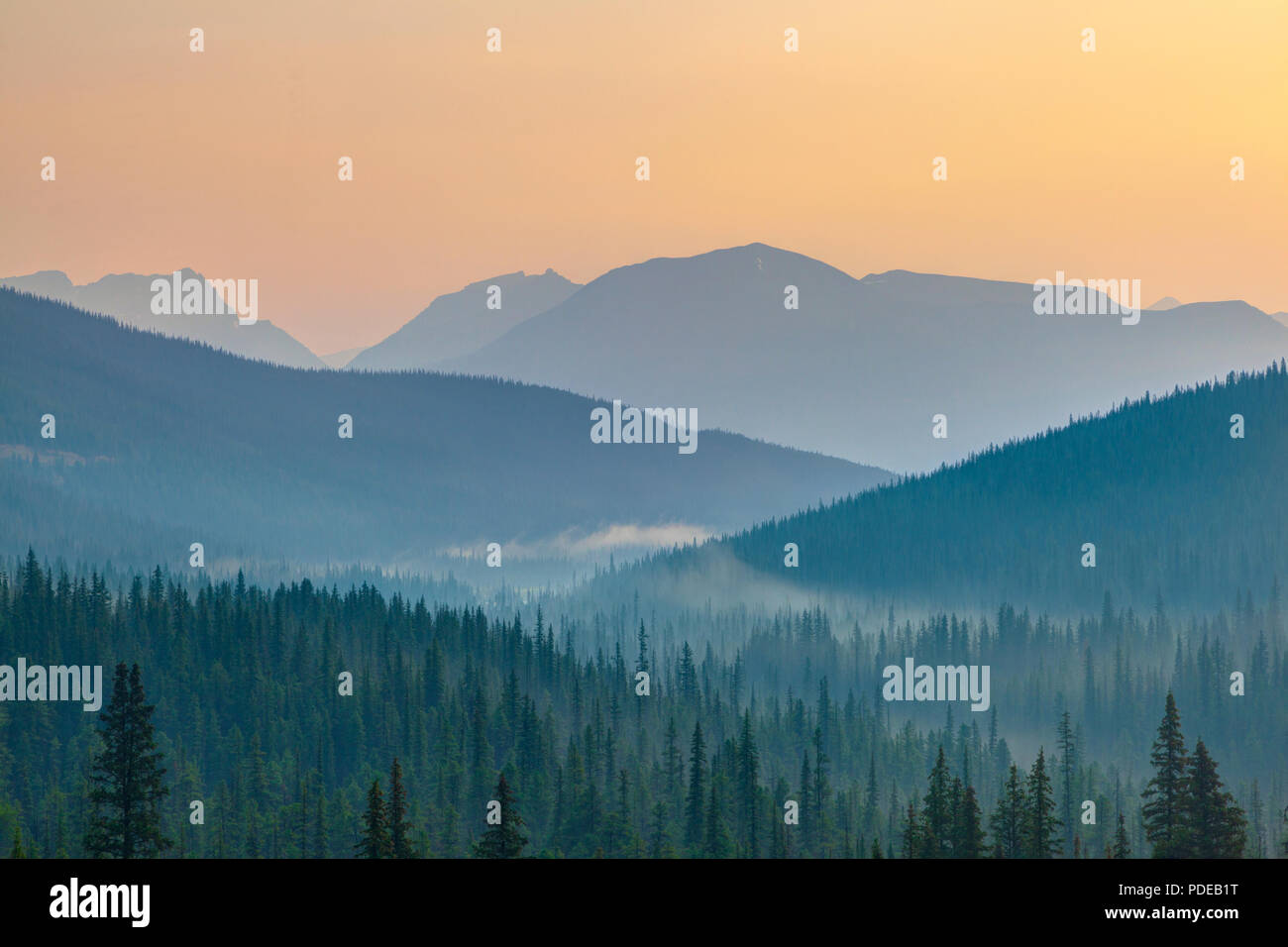 Break Of Dawn Anzeigen golden Sunrise im Banff National Park mit Silhouette von weit entfernten Bergrücken und Pinien im Vordergrund. Stockfoto